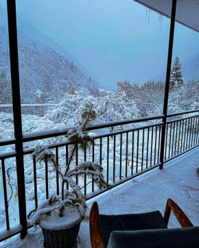 White House In Borjomi